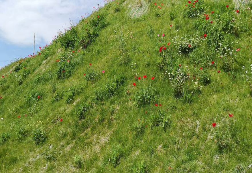 613b1796bbc84.png 第31页-153 副本.png