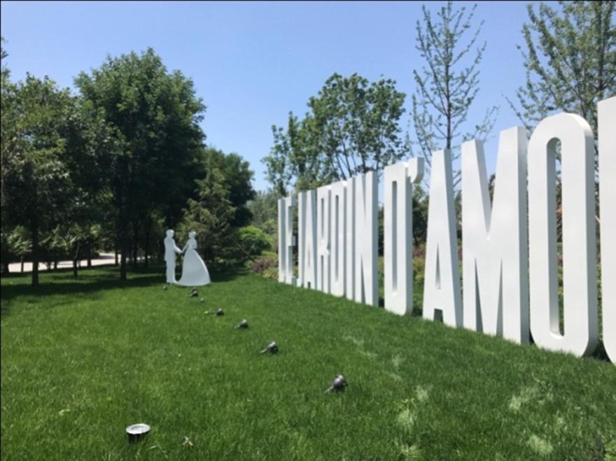 613f17e31cd54.png 图片 1.png