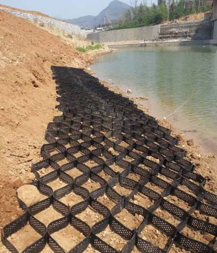 613f19ecab457.png 613f19ecab457.png