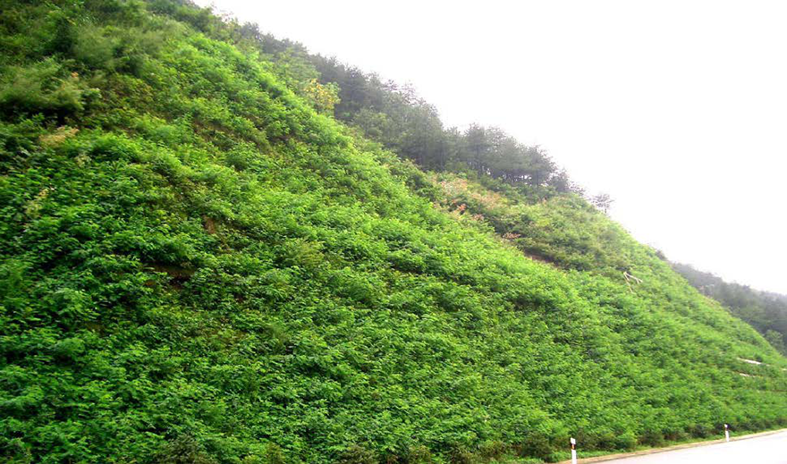 613f1f60caca1.PNG 第32页-157.PNG