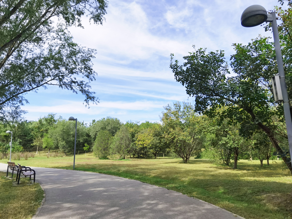 6522159f1f6b9.jpg 6522159f1f6b9.jpg